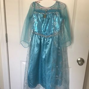 Frozen Elsa Blue Gown Costume Halloween Princess